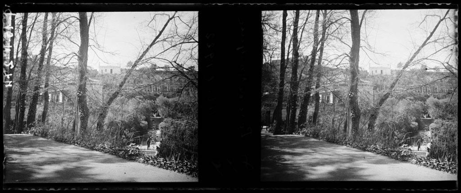 Alee cu copaci în parcul Montjuïc, fotografiată în 1922.